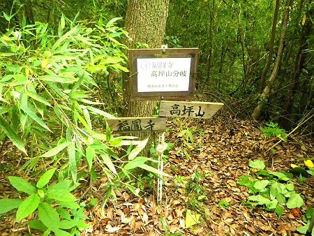 やっと正規ルートに合流して高坪山のほうを目指して登っていく