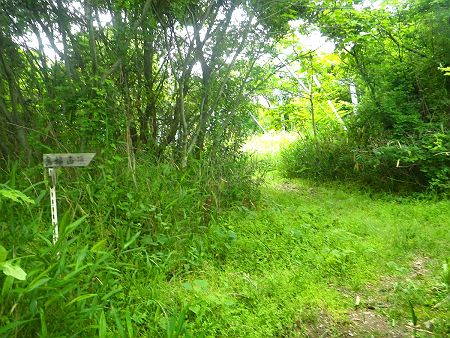 ピークまで登るともう一つの鉄塔があった。この鉄塔下が高坪山の山頂らしい