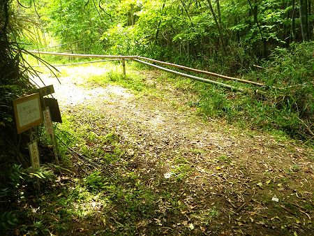 ここで分岐だけど左へ曲がって道路に出る