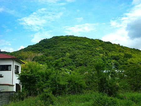 さっき登っていた坂の山がよく見える。下から見ると丘という感じもするけどね