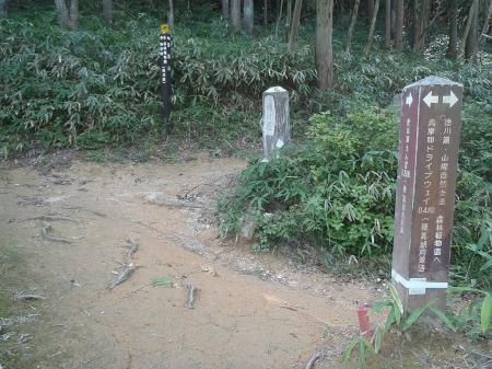 ここを右