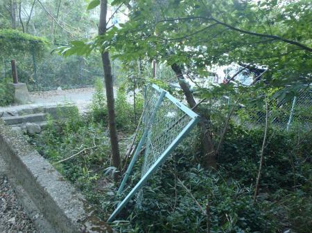登山道終わり