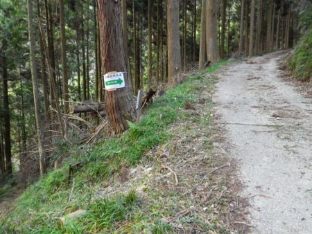 この林道は意外と長いんだけど結構な登りになっているので標高は稼げるはず