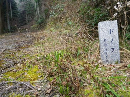 ここの分岐はドノヲというらしく標高354mらしい