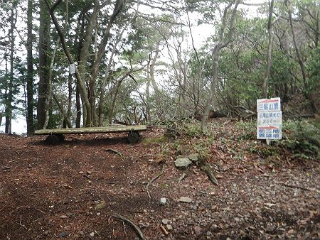 稜線まで登ってきた。ベンチに座って少し考えた結果、先に右手の前三尾山（東峰）へ登ることにした
