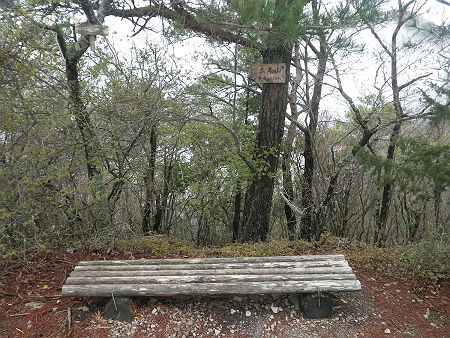 前三尾山、別名は三尾山東峰（529m）に到着