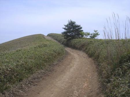 笹地帯の気持ちの良い稜線が続くけど、この後一旦、舗装道にでる