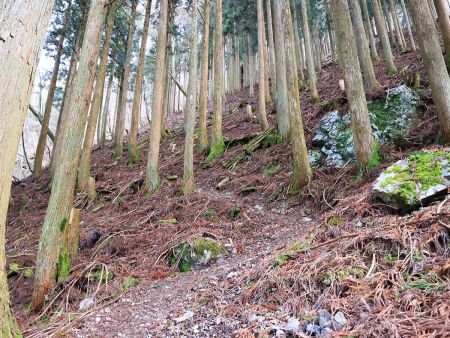 ここから沢筋を外れてつづら折れの道になっていく