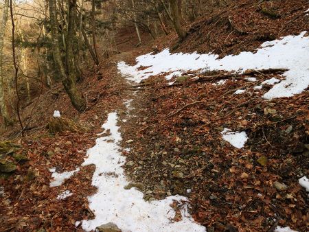 ちらほらと雪がでてきたけど、やはり完全に雨にやられたのかほとんどない