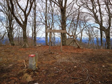 登山道を歩いてやっとここまできた。右の桧塚奥峰のほうへ行く