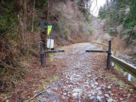 登山口まで下りてきた。林道が長いなあ。早歩きで林道を歩く