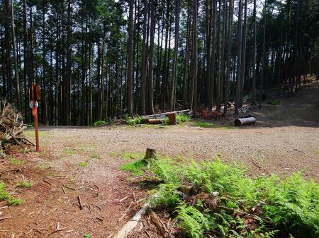 ここで広い道の分岐にでる。とりあえずルートは左だけど、天台山へピークハントしたいので直進してピークへ登る