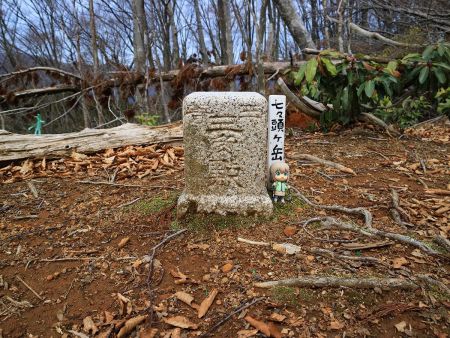 せっかくなので三角点と雪村あおいちゃんを撮影しておいた
