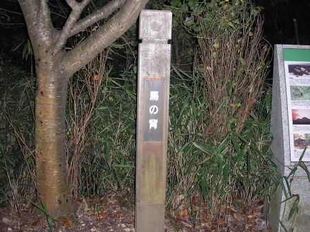 雄岳から下って馬の背へ。続いて雌岳に登る
