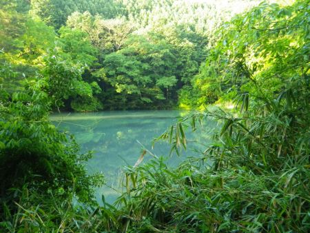 この池でダメだけど釣りをしていた人がいた。こんな池に魚なんているんだろうか！？