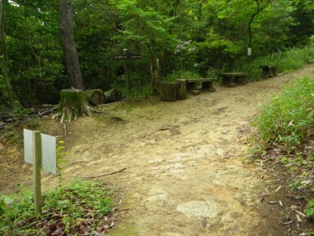 ここで登山道と合流。これまでのルートは六合目ルートだったらしい。ここから雄岳山頂までは標高を稼がないといけない