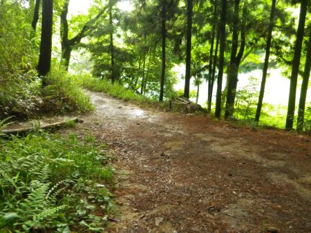 池のところまで下ってきて最初の登山道と合流した。釣り人はいなくなっていたけど、誰かに見つかったのかな！？