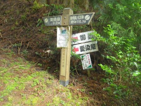 道標には愛染窟まで0.2kmとあるけど、実際歩いてみるととてもじゃないけど0.2kmとは思えなかった