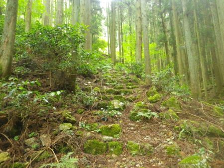 この付近から急登の石の階段続きとなる。ここからひたすら急登のはじまりだと後で知ることになる