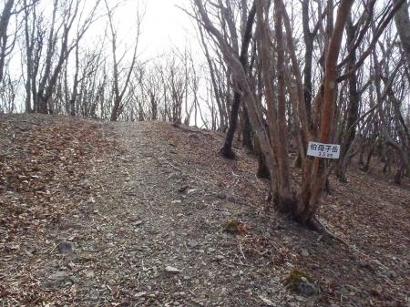 あと3.5km地点