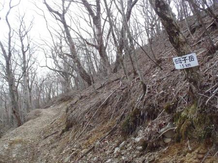 あと1.5km地点