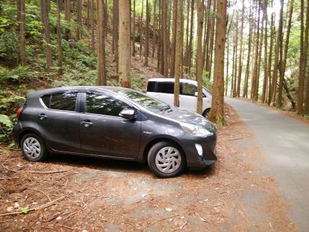 林道のここに駐車してスタート