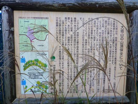 大塔山の山頂保全についての看板があったけどススキで邪魔になっている