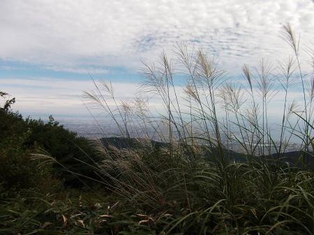 最高峰の手前からは大阪方面が一望できるけどススキが少し邪魔だね