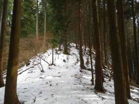 ここから少し急登になってくるけど、距離的にはそんなにないし、アイゼン装着して歩きやすくなった