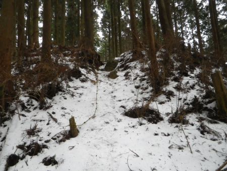 このロープ場までくると最後の急登が終わって山頂は近い