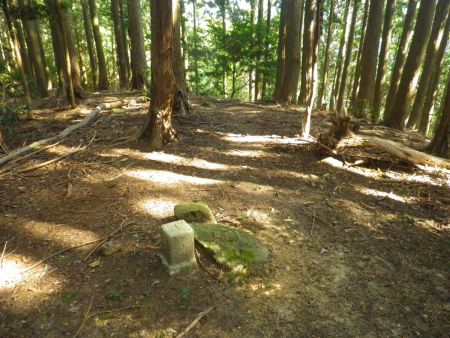 尾根沿いに歩いて標高１０ｍほど登ったピークに三角点があった