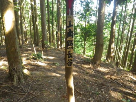 三角点の看板があった。点名は長谷というらしい