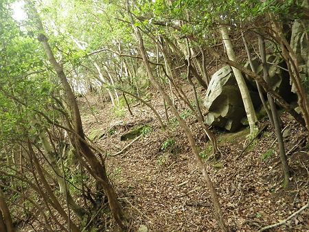 ちょっとした急登が終わるとトラバースしていくことになる。この付近からはちゃんとした踏み跡があった