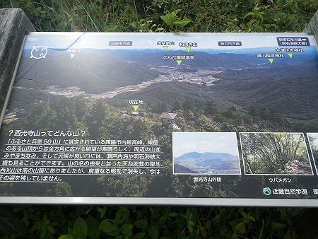 展望の案内板があったが、見えているのは今田方面なんだね