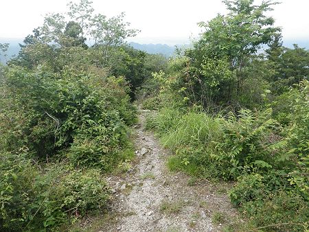 十分に休憩したのでさっさと下山することにした