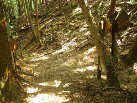 ここでJ-2の地点の分岐なんだけど、ここがちょっと迷いやすい