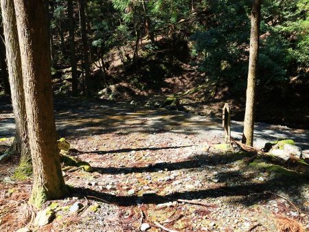 サクサクと下山して林道分岐まで下ってきた。下山は滑りやすいところもあったけど早かった