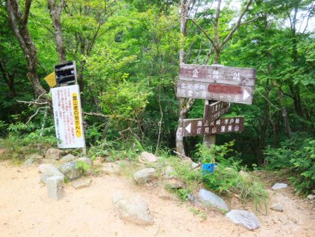 金糞峠に到着。ここも青ガレ経由で登ったのでよく覚えている