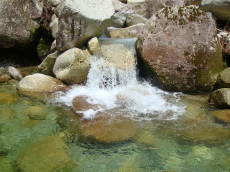 綺麗な水