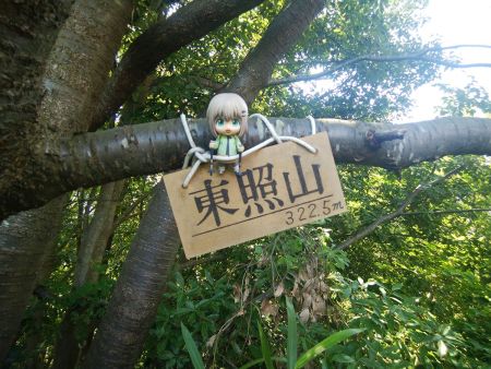 東照山でもせっかくなので雪村あおいちゃんを撮影しておいた