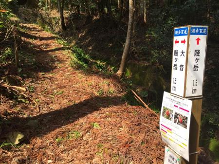 山頂まで1.5km