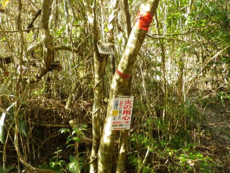ピークを越えて下ったところが楠峠だった。この段階で標高315mまで下らされているんだよね