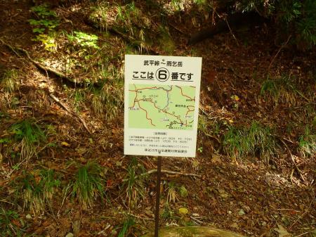 ⑥番