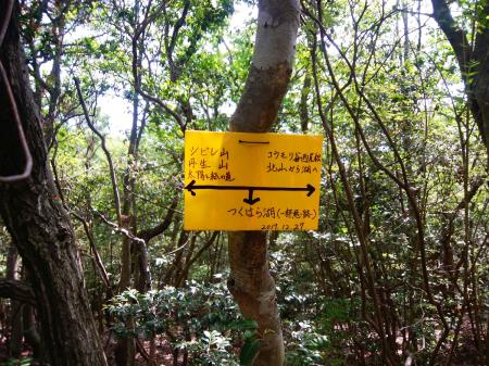プレートにマジックで書いてあった。とりあえず北山へピークハントする