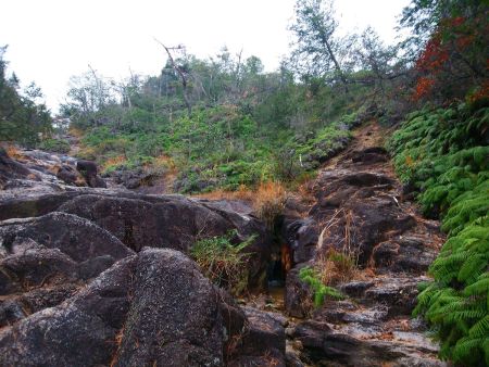 この付近が御仏河原だと思われる。岩が濡れているので下山時は慎重にしないとダメかも