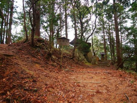 さらに先へ行くと三角点とかかれた看板があるので従って左へ登る