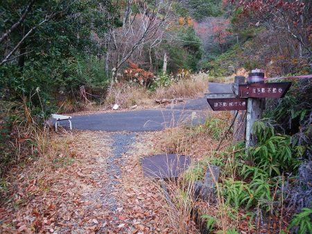 林道に出た。ここを左へ下っていく