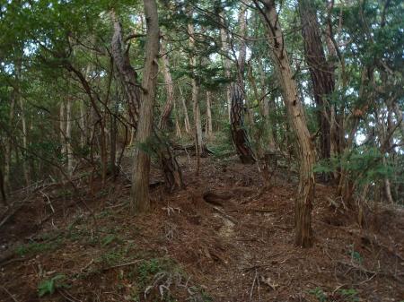分岐から編笠山までの登りは少し急登が続く