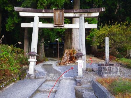 鳥居をくぐって右奥へ進んでいく。地図をみると左に行っても登山道があるみたいだけど予定しているルートは右奥