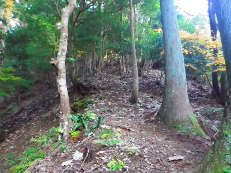 いきなり急登がはじまる。せめてちょっとしたつづら折れになってくれていればもう少し楽なんだけど直登なんだよね